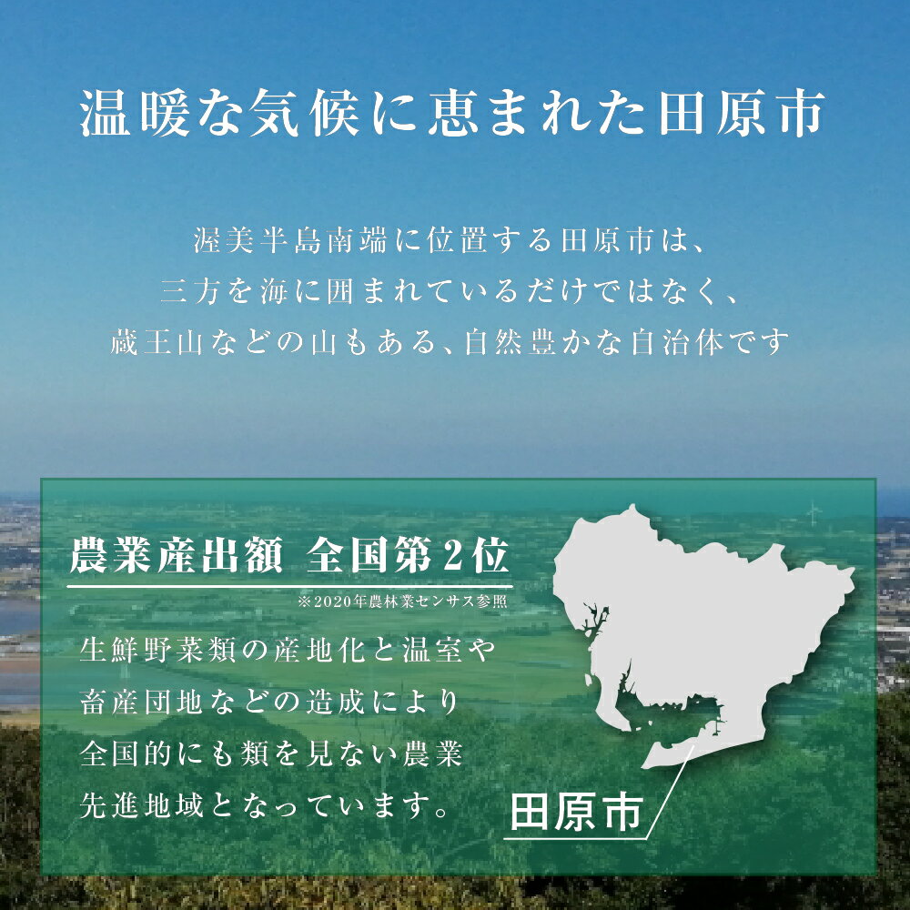 【ふるさと納税】渥美半島のやさい特選便 13〜15品目 特製ドレッシング付き 野菜ソムリエ監修 旬の野菜 セット 食べ比べ 季節限定 数量限定 - 画像3