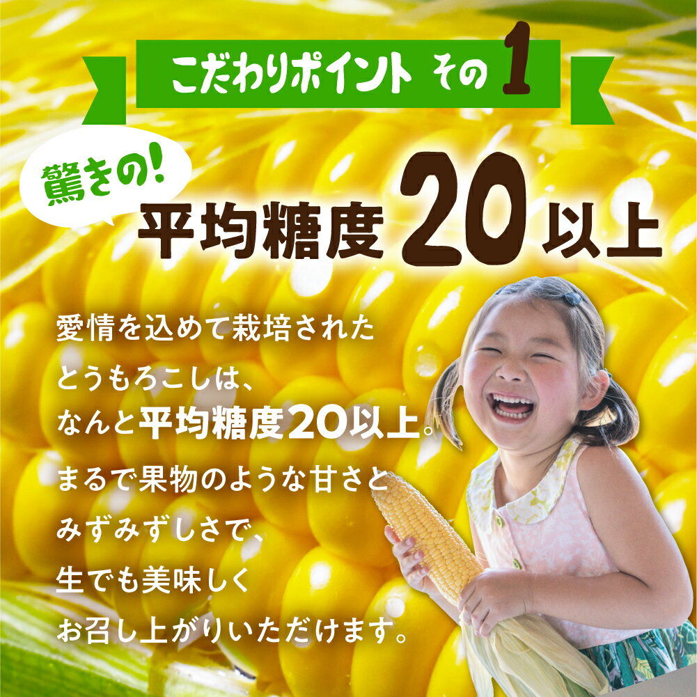 【ふるさと納税】＜先行予約＞発送時期が選べる レビュー 高評価 ☆5 濃厚 極甘とうもろこし ＆ コーンスープ セット 無添加 おうちで極上 スープ とうもろこし コーンスープの素 人気 産地直送 甘い 送料無料 数量限定 簡単 常温 田原市 トウモロコシ コーン - 画像3