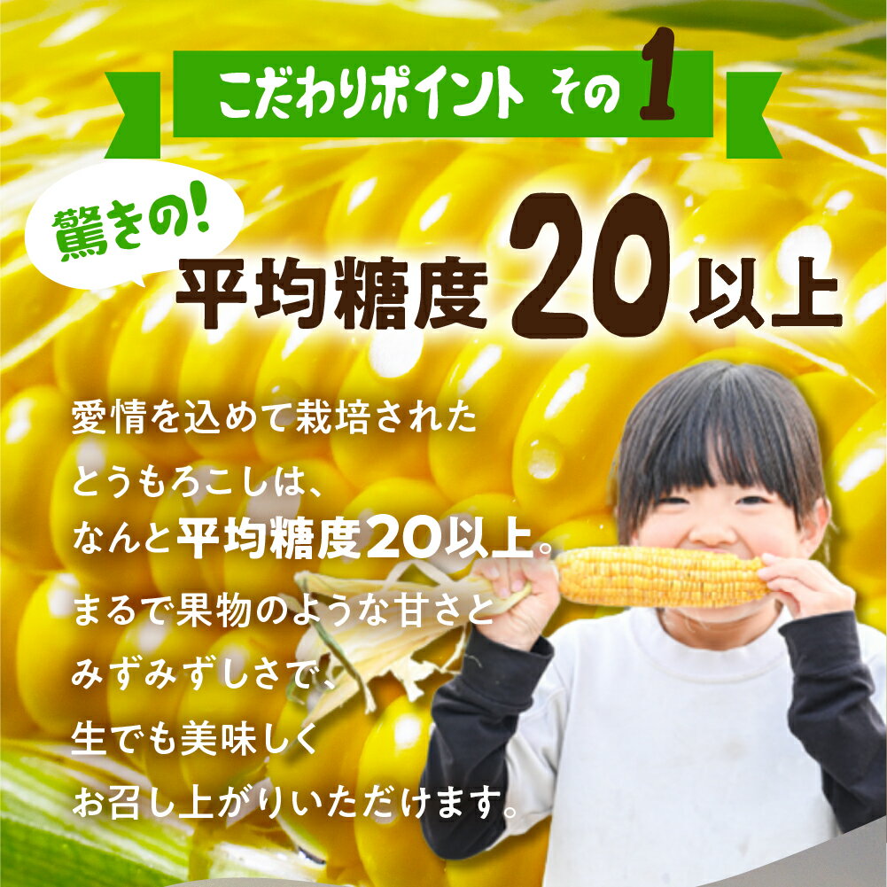 【ふるさと納税】《先行予約》高評価 平均糖度20以上 極甘とうもろこし 8~10本 以上 鮮度保持袋入り 発送時期が選べる 朝採り 人気 甘い 訳あり ワケアリ 本 簡単調理 まるで フルーツ 送料無料 高レビュー 数量限定 2025年 先行予約 楽天限定 サムネイル2