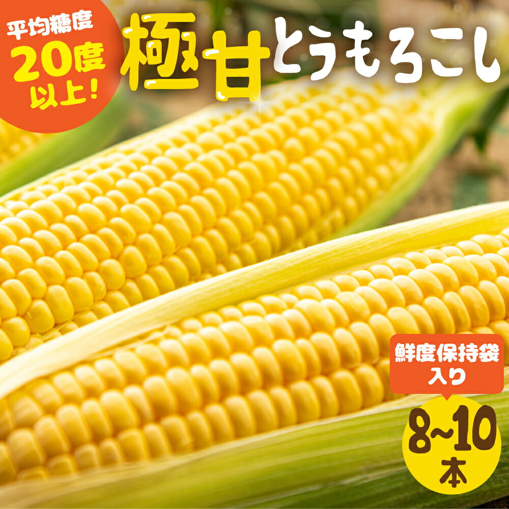 《先行予約》高評価 平均糖度20以上 極甘とうもろこし 8~10本 以上 鮮度保持袋入り 発送時期が選べる 朝採り 人気 甘い 訳あり ワケアリ 本 簡単調理 まるで フルーツ 送料無料 高レビュー 数量限定 2025年 先行予約 楽天限定