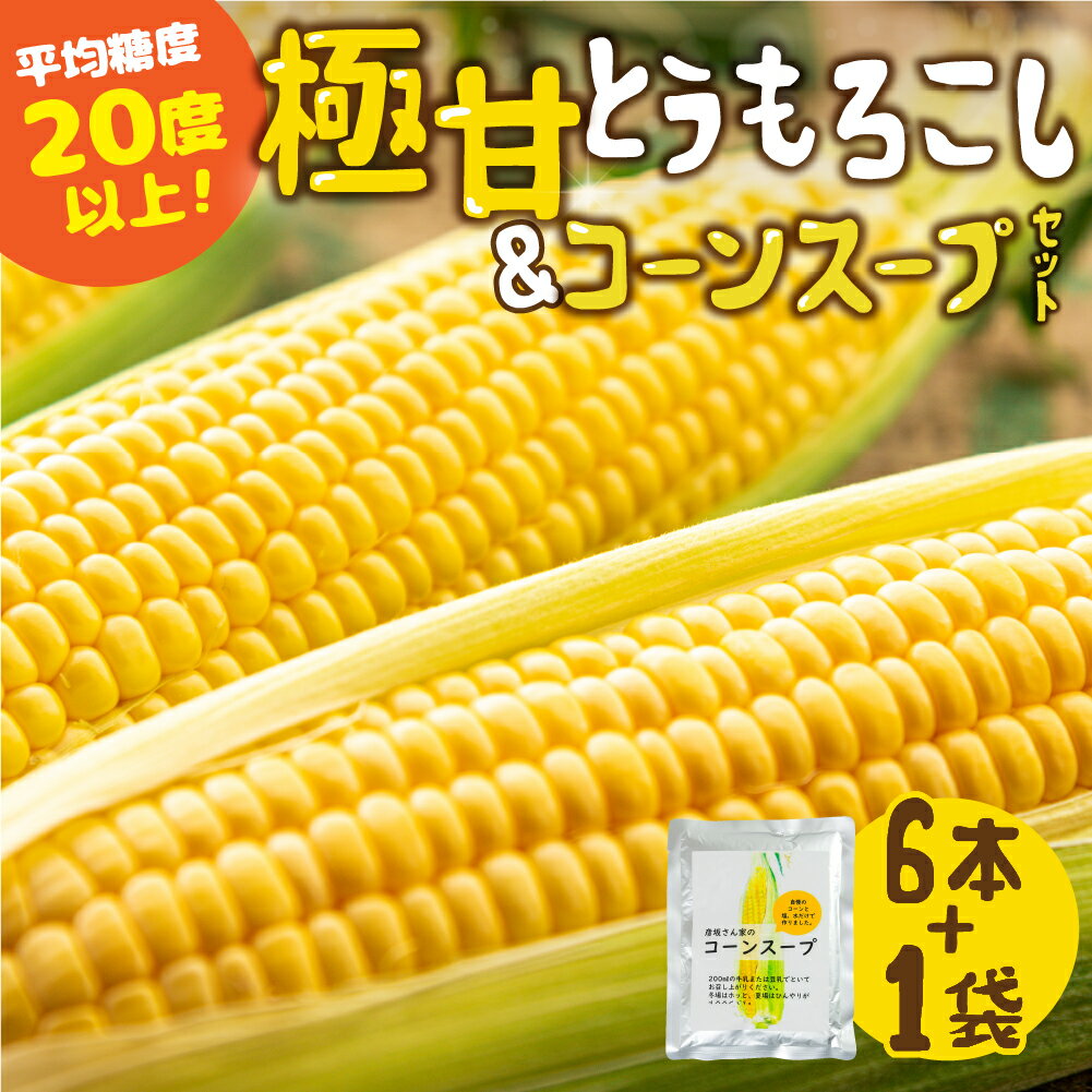 ＜先行予約＞発送時期が選べる レビュー 高評価 ☆5 濃厚 極甘とうもろこし ＆ コーンスープ セット 無添加 おうちで極上 スープ とうもろこし コーンスープの素 人気 産地直送 甘い 送料無料 数量限定 簡単 常温 田原市 トウモロコシ コーン