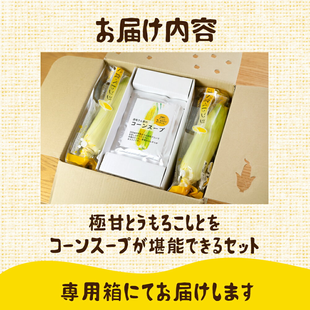 【ふるさと納税】＜先行予約＞発送時期が選べる レビュー 高評価 ☆5 濃厚 極甘とうもろこし ＆ コーンスープ セット 無添加 おうちで極上 スープ とうもろこし コーンスープの素 人気 産地直送 甘い 送料無料 数量限定 簡単 常温 田原市 トウモロコシ コーン - 画像2