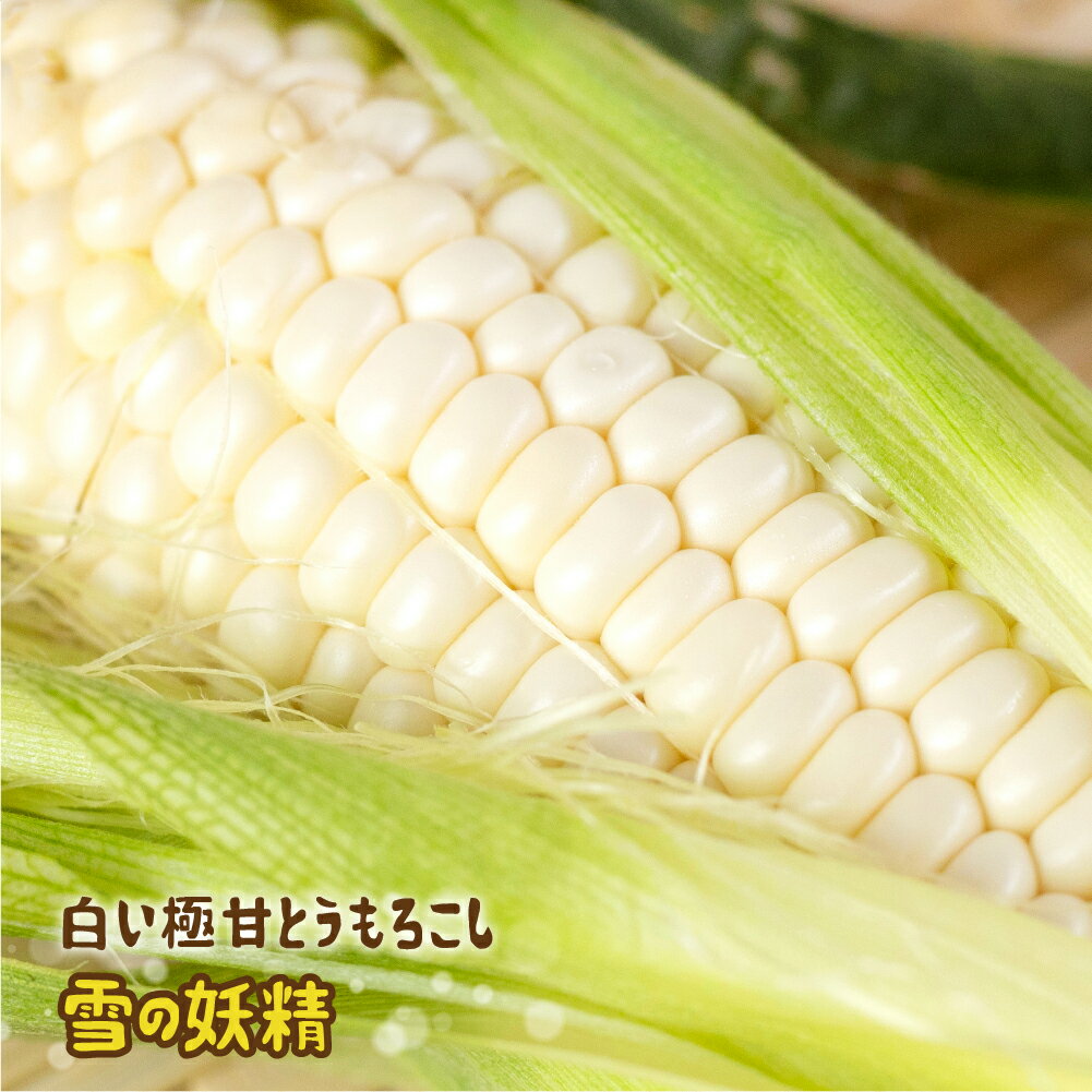 【ふるさと納税】《先行予約》高評価 平均糖度20以上 白い極甘とうもろこし 8本〜10本 発送時期が選べる 朝採り 人気 甘い 簡単調理 まるで フルーツ 送料無料 高レビュー 数量限定 2025年 先行予約 - 画像2