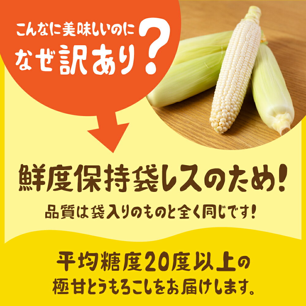 【ふるさと納税】《先行予約》高評価 平均糖度20以上 白い極甘とうもろこし 10本〜12本 発送時期が選べる 朝採り 人気 甘い 訳あり ワケアリ 簡単調理 まるで フルーツ 送料無料 高レビュー 数量限定 2025年 先行予約 楽天限定 - 画像2