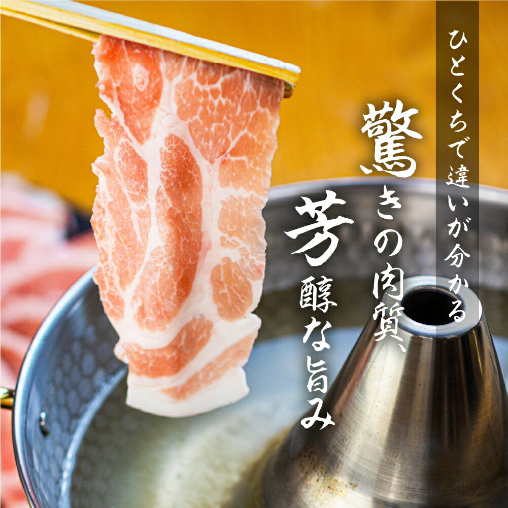 【ふるさと納税】小分けが高評価☆4.93 Gファーム 豚肉 3種 1.2kg （100gずつ 小分け ） しゃぶしゃぶ用 ロース 肩ロース バラ　豚 肉 しゃぶしゃぶ ブランド豚 冷凍 田原ポーク 個包装 スライス 薄切り 豚しゃぶ ギフト 定期便 どうまい サムネイル3