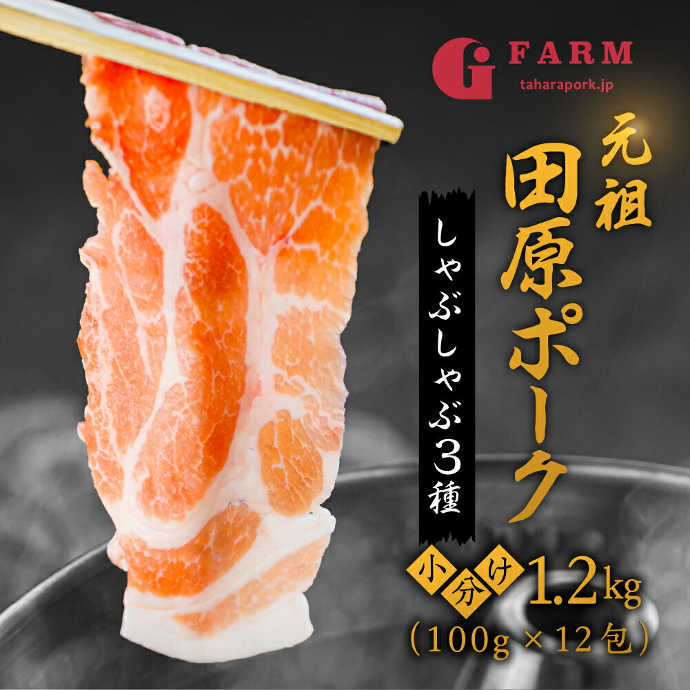 小分けが高評価☆4.93 Gファーム 豚肉 3種 1.2kg （100gずつ 小分け ） しゃぶしゃぶ用 ロース 肩ロース バラ　豚 肉 しゃぶしゃぶ ブランド豚 冷凍 田原ポーク 個包装 スライス 薄切り 豚しゃぶ ギフト 定期便 どうまい