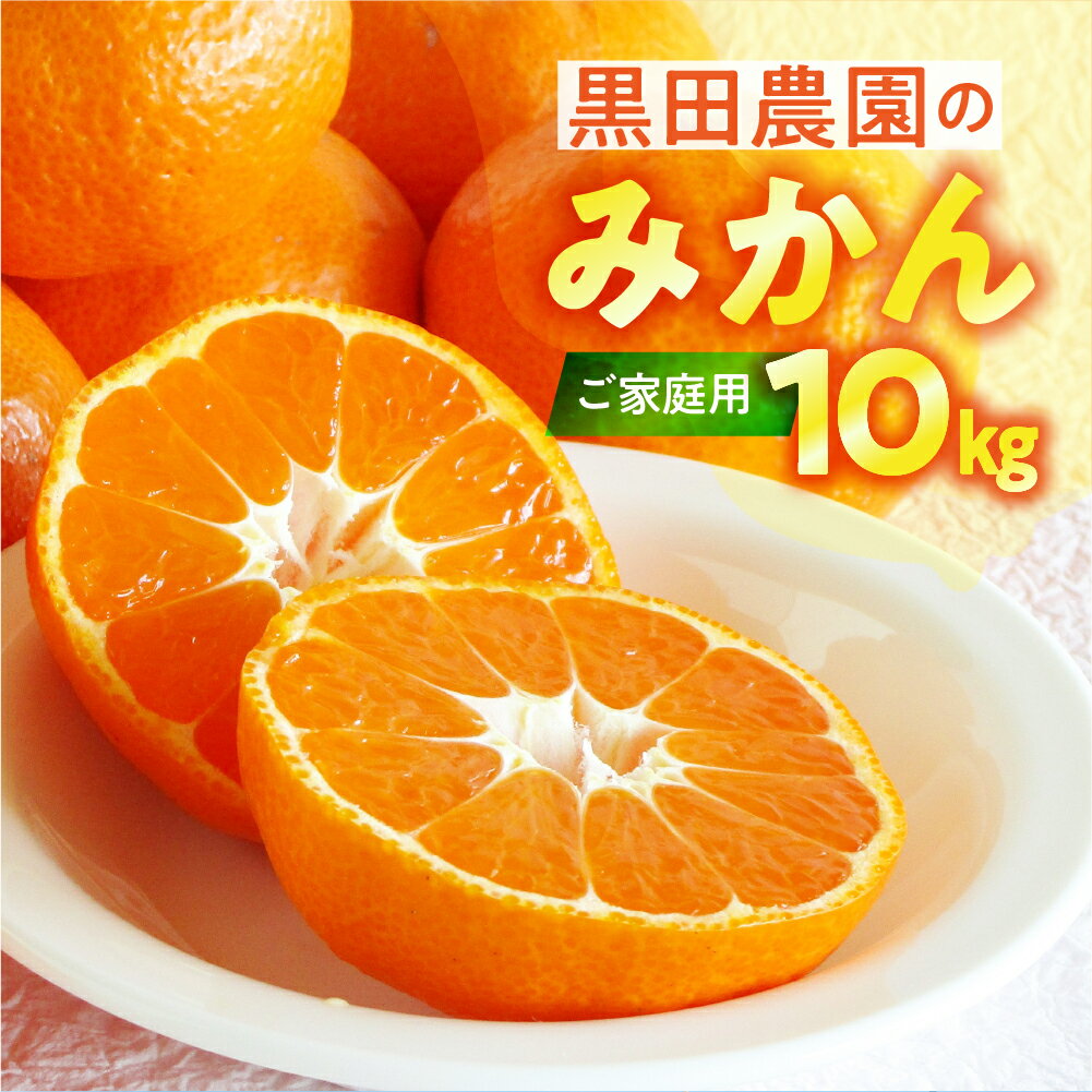【先行予約】（訳あり）渥美半島の伊良湖みかん 10kg（箱重量込み） みかん ミカン mikan 蜜柑 送料無料 フルーツ 果物 大容量 渥美半島 甘い 濃厚 コク ジューシー 応援 寄附 産地直送 田原市 愛知県 ご家庭用