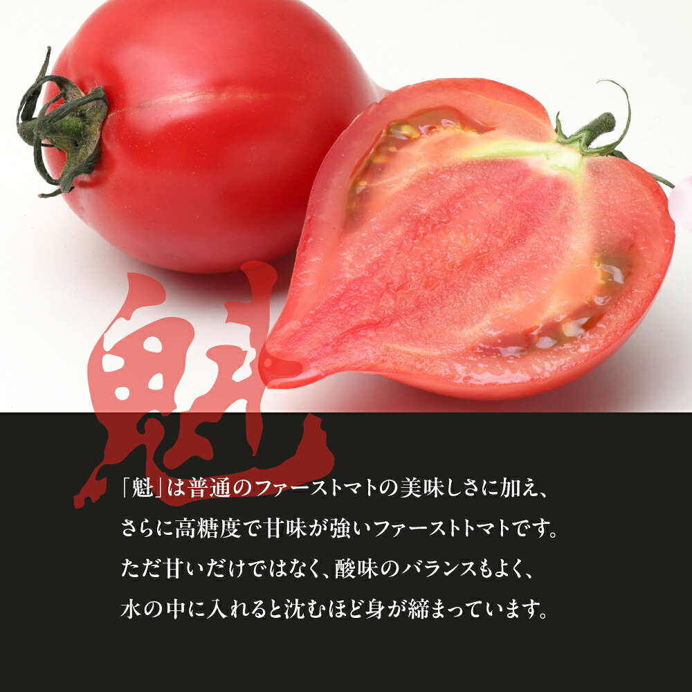 【ふるさと納税】ファーストトマト 『魁』2kg　|トマト とまと 高糖度 サラダ サンドイッチ 野菜 やさい 大玉 高糖度 贈答 プレゼント 贈り物 甘い おいしい 冬 春 極 JA 農協 JA愛知みなみ ファーストトマト 渥美半島 田原市 - 画像2