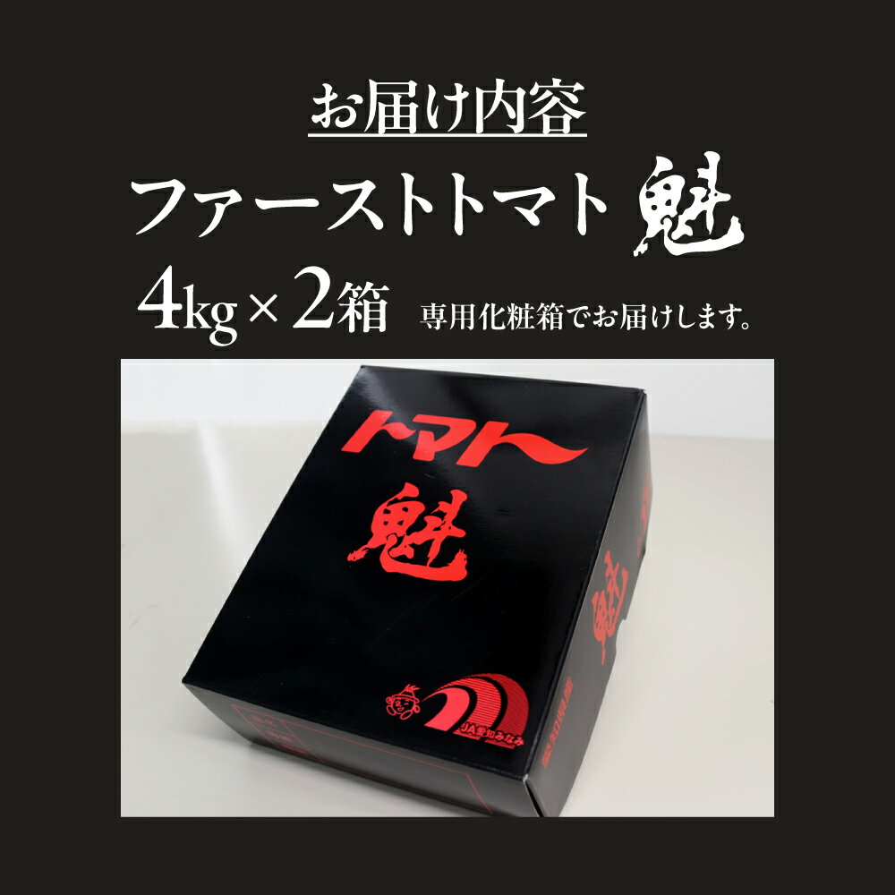 【ふるさと納税】ファーストトマト 『魁』2kg　|トマト とまと 高糖度 サラダ サンドイッチ 野菜 やさい 大玉 高糖度 贈答 プレゼント 贈り物 甘い おいしい 冬 春 極 JA 農協 JA愛知みなみ ファーストトマト 渥美半島 田原市 - 画像3