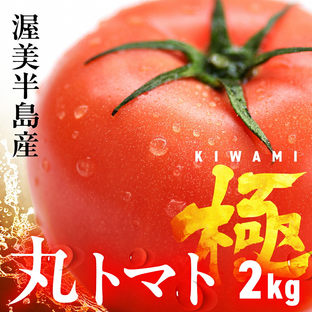渥美半島産 丸トマト 『極』2kg　|トマト とまと 高糖度 サラダ サンドイッチ 野菜 やさい 大玉 高糖度 贈答 プレゼント 贈り物 甘い おいしい 冬 春 極 JA 農協 JA愛知みなみ