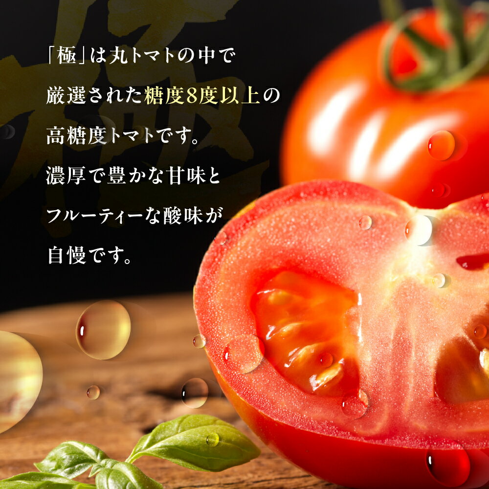 【ふるさと納税】渥美半島産 丸トマト 『極』2kg　|トマト とまと 高糖度 サラダ サンドイッチ 野菜 やさい 大玉 高糖度 贈答 プレゼント 贈り物 甘い おいしい 冬 春 極 JA 農協 JA愛知みなみ - 画像2