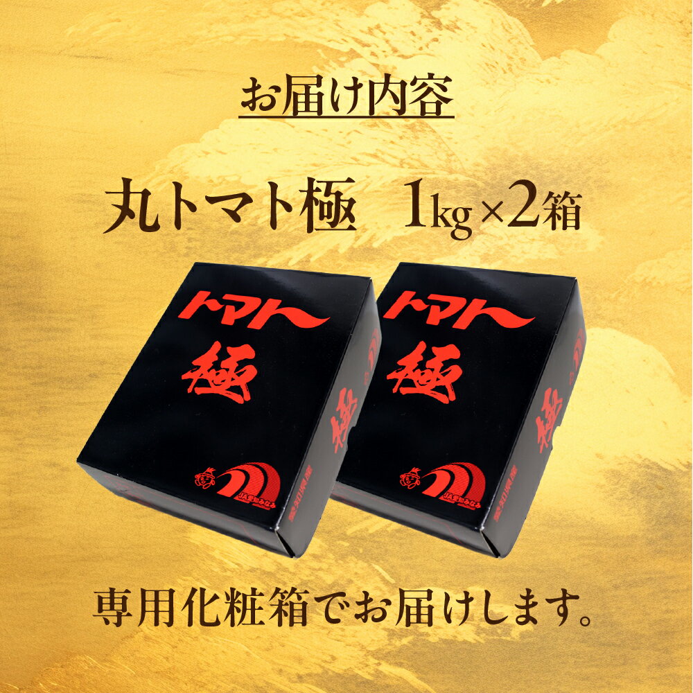 【ふるさと納税】渥美半島産 丸トマト 『極』2kg　|トマト とまと 高糖度 サラダ サンドイッチ 野菜 やさい 大玉 高糖度 贈答 プレゼント 贈り物 甘い おいしい 冬 春 極 JA 農協 JA愛知みなみ - 画像3