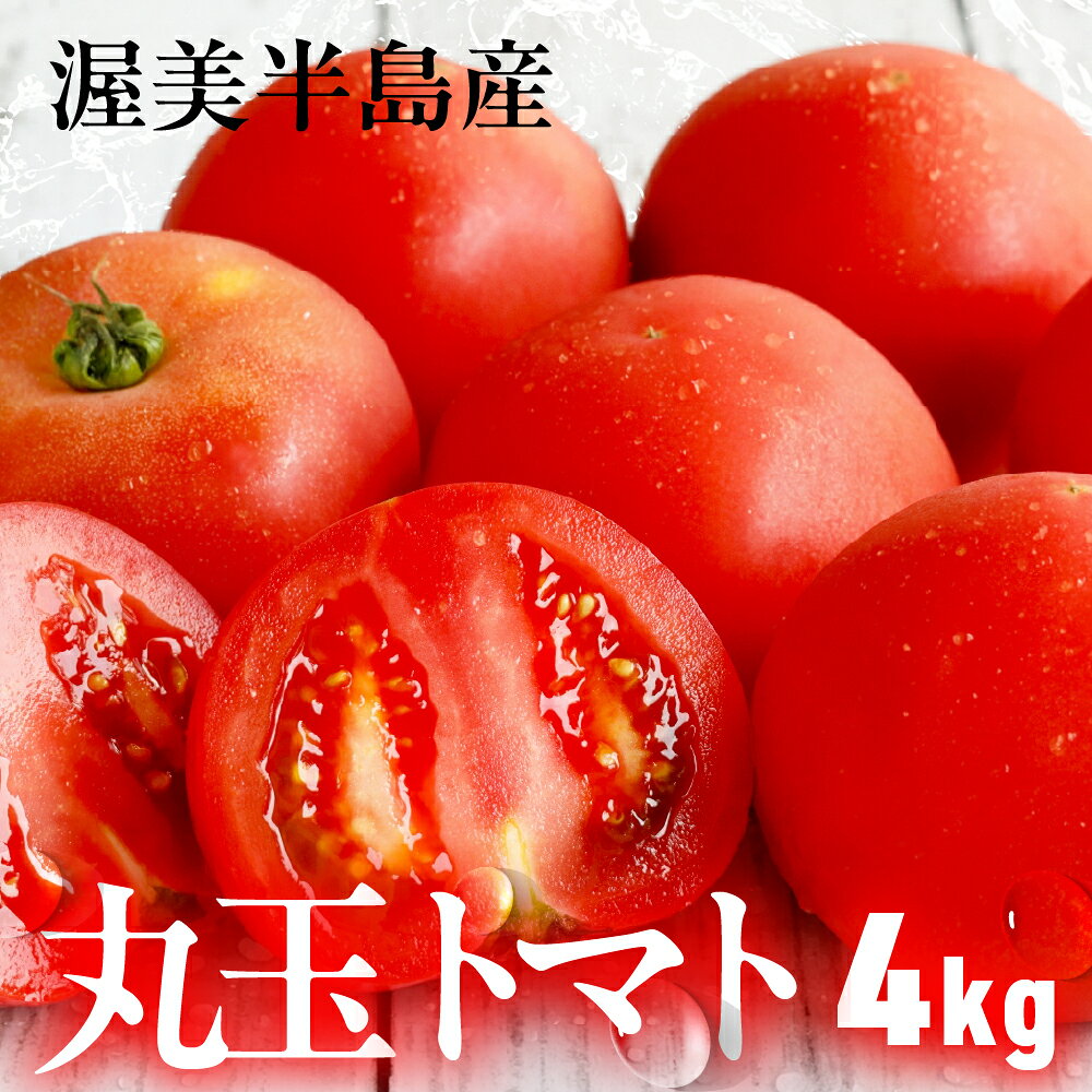 渥美半島産 丸玉トマト 4kg　|トマト とまと サラダ サンドイッチ 野菜 やさい 贈答 プレゼント 贈り物 甘い おいしい 冬 春 JA 農協 JA愛知みなみ