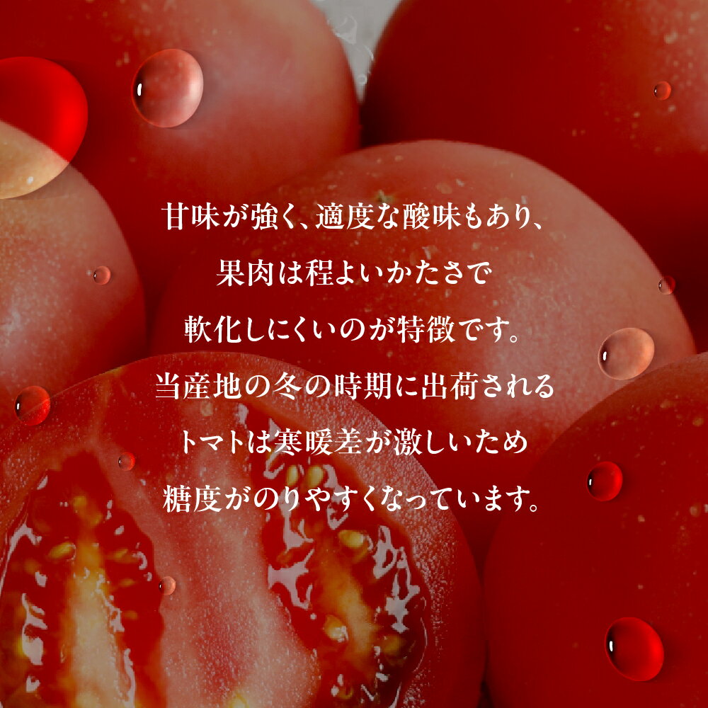【ふるさと納税】渥美半島産 丸玉トマト 4kg　|トマト とまと サラダ サンドイッチ 野菜 やさい 贈答 プレゼント 贈り物 甘い おいしい 冬 春 JA 農協 JA愛知みなみ - 画像2