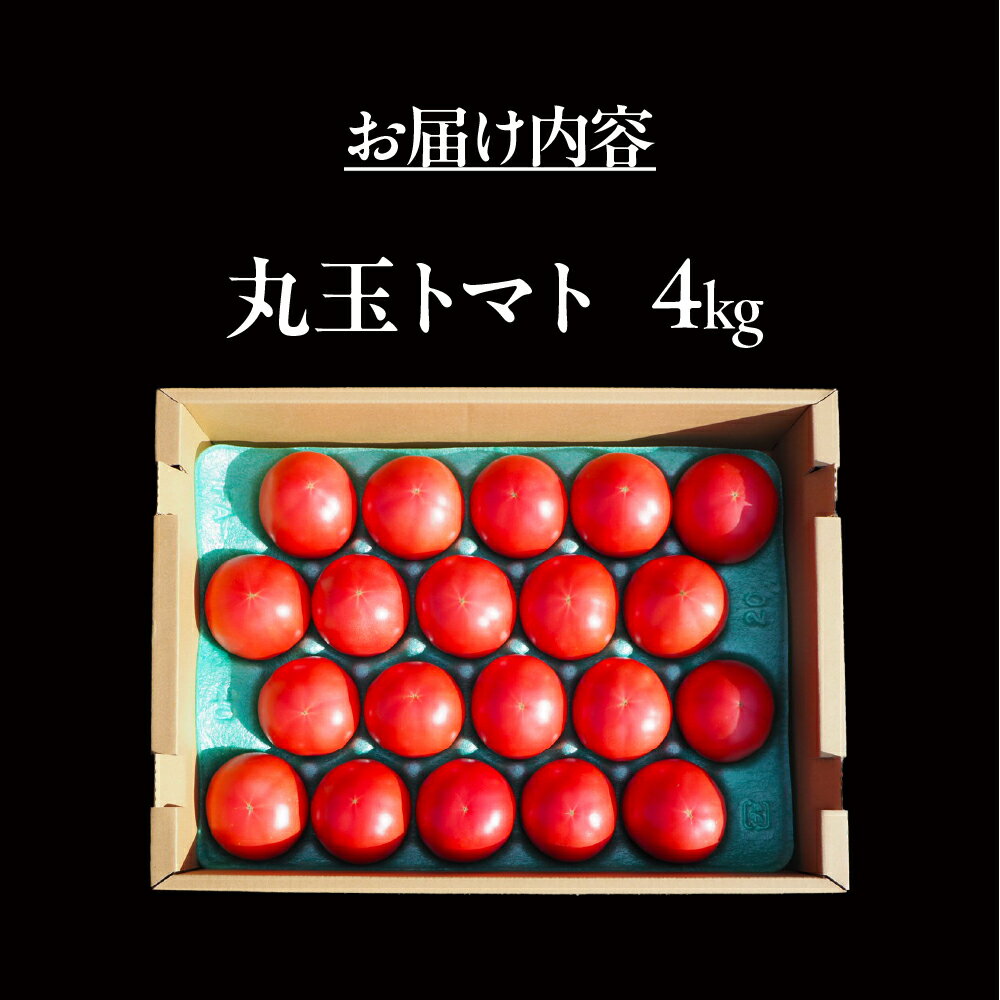 【ふるさと納税】渥美半島産 丸玉トマト 4kg　|トマト とまと サラダ サンドイッチ 野菜 やさい 贈答 プレゼント 贈り物 甘い おいしい 冬 春 JA 農協 JA愛知みなみ - 画像3