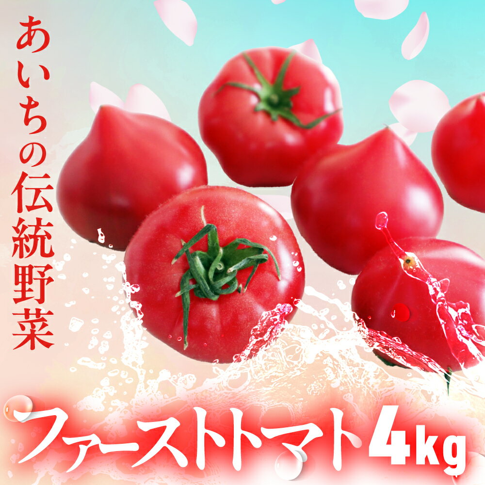 ファーストトマト 4kg　|トマト とまと 高糖度 サラダ サンドイッチ 野菜 やさい 大玉 高糖度 贈答 プレゼント 贈り物 甘い おいしい 冬 春 極 JA 農協 JA愛知みなみ ファーストトマト 渥美半島 田原市