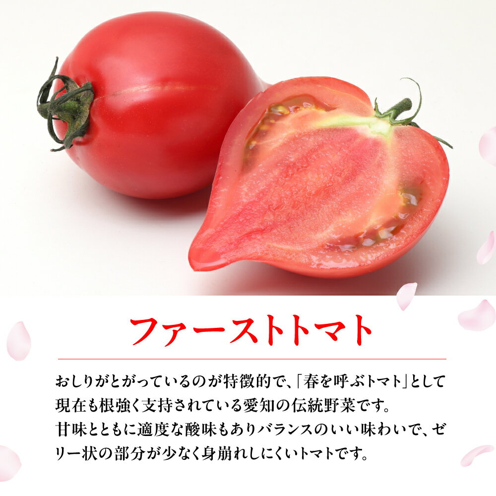 【ふるさと納税】ファーストトマト 4kg　|トマト とまと 高糖度 サラダ サンドイッチ 野菜 やさい 大玉 高糖度 贈答 プレゼント 贈り物 甘い おいしい 冬 春 極 JA 農協 JA愛知みなみ ファーストトマト 渥美半島 田原市 - 画像2