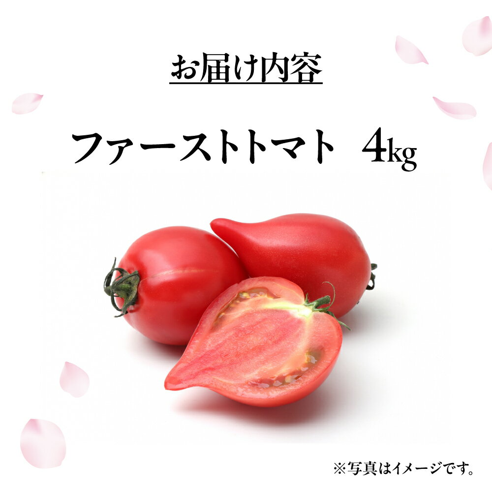 【ふるさと納税】ファーストトマト 4kg　|トマト とまと 高糖度 サラダ サンドイッチ 野菜 やさい 大玉 高糖度 贈答 プレゼント 贈り物 甘い おいしい 冬 春 極 JA 農協 JA愛知みなみ ファーストトマト 渥美半島 田原市 - 画像3