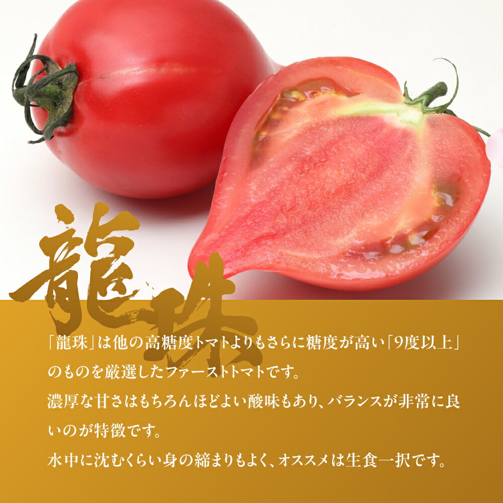 【ふるさと納税】ファーストトマト 『龍珠』 1kg　|トマト とまと 高糖度 サラダ サンドイッチ 野菜 やさい 大玉 高糖度 贈答 プレゼント 贈り物 甘い おいしい 冬 春 極 JA 農協 JA愛知みなみ ファーストトマト 渥美半島 田原市 - 画像2