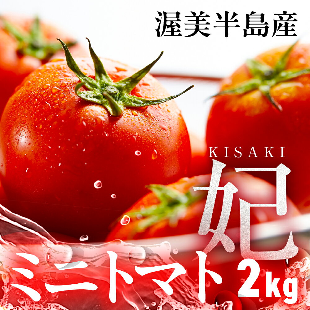 渥美半島産 ミニトマト（妃）2kg　|トマト とまと ミニトマト プチトマト 妃 高糖度 糖度 マリネ サラダ サンドイッチ 野菜 やさい 甘い おいしい 冬 春 JA 農協 JA愛知みなみ