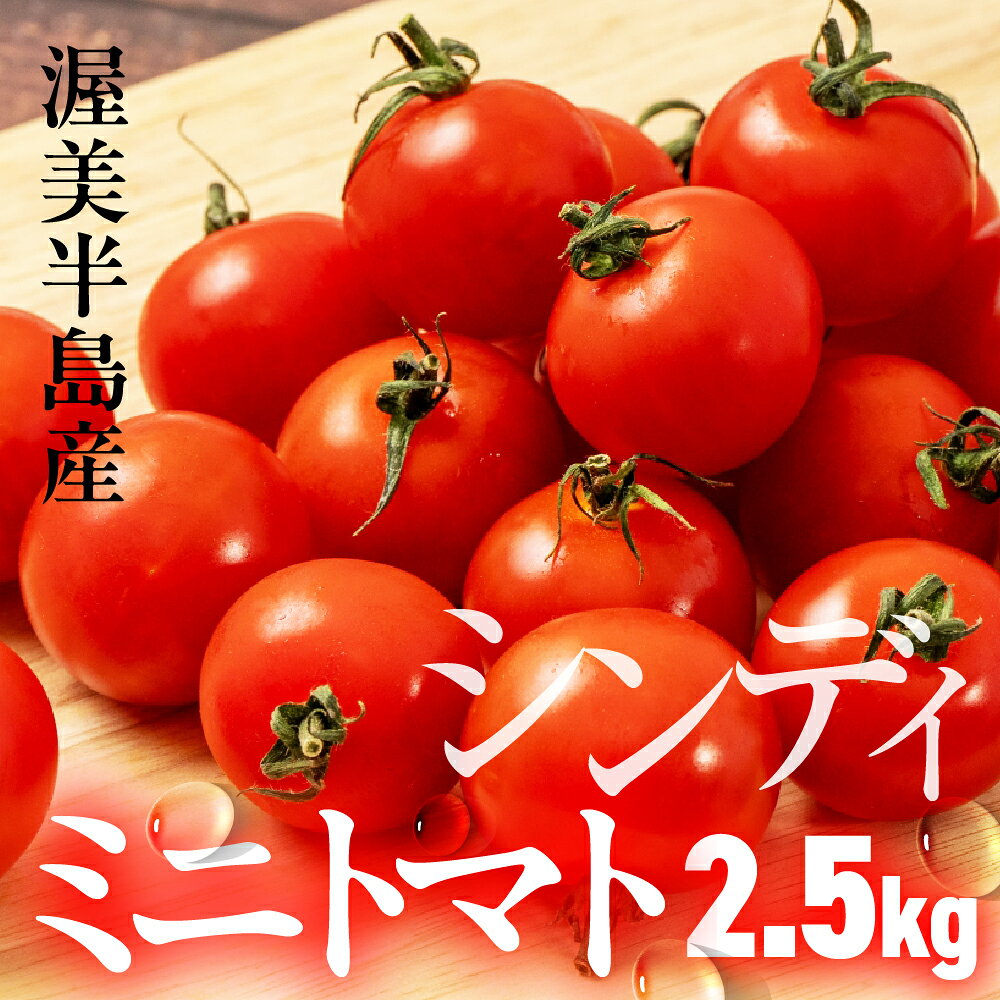 ミディトマト『シンディ』2.5kg　|トマト とまと ミディトマト サラダ サンドイッチ 野菜 やさい 贈答 プレゼント 贈り物 甘い おいしい 冬 春 JA 農協 JA愛知みなみ