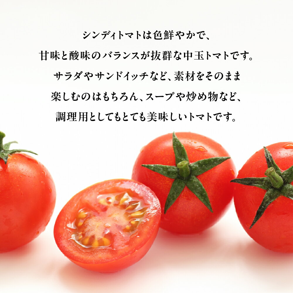 【ふるさと納税】ミディトマト『シンディ』2.5kg　|トマト とまと ミディトマト サラダ サンドイッチ 野菜 やさい 贈答 プレゼント 贈り物 甘い おいしい 冬 春 JA 農協 JA愛知みなみ - 画像2