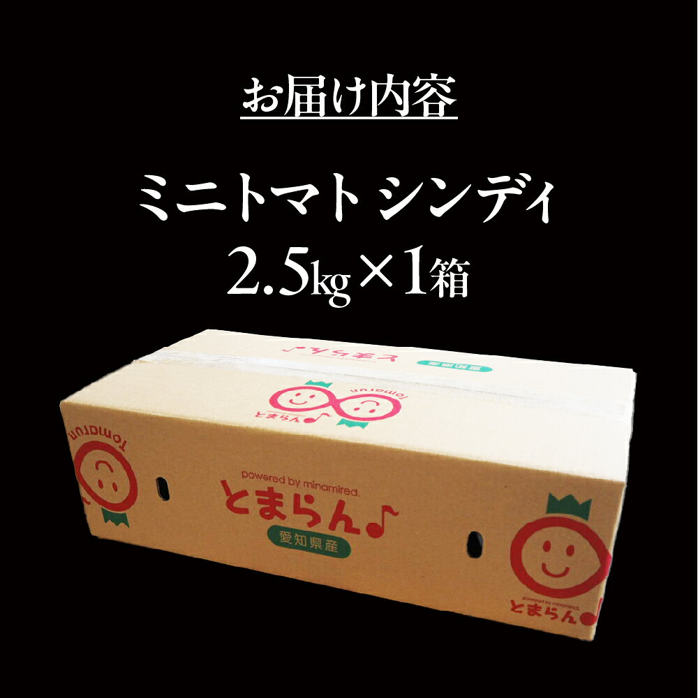 【ふるさと納税】ミディトマト『シンディ』2.5kg　|トマト とまと ミディトマト サラダ サンドイッチ 野菜 やさい 贈答 プレゼント 贈り物 甘い おいしい 冬 春 JA 農協 JA愛知みなみ - 画像3