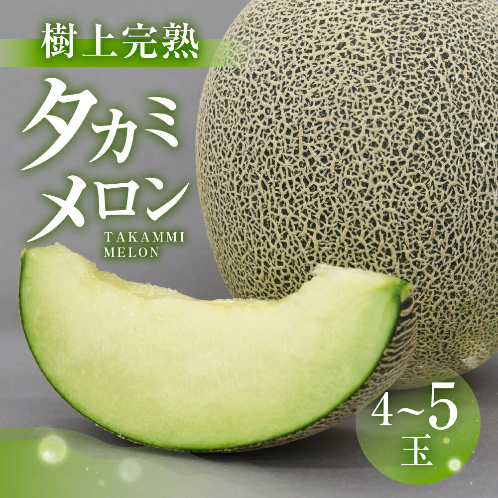 【先行予約】2026年 渥美半島産　青木さんちのタカミメロン 樹上完熟 4玉～5玉 約5kg メロン タカミメロン 青肉メロン 完熟 フルーツ 果物 デザート 農家直送 送料無料 熟成 メロン 糖度 メロン 青肉
