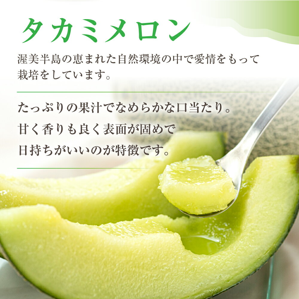 【ふるさと納税】【先行予約】2026年 渥美半島産　青木さんちのタカミメロン 樹上完熟 4玉～5玉 約5kg メロン タカミメロン 青肉メロン 完熟 フルーツ 果物 デザート 農家直送 送料無料 熟成 メロン 糖度 メロン 青肉 サムネイル2
