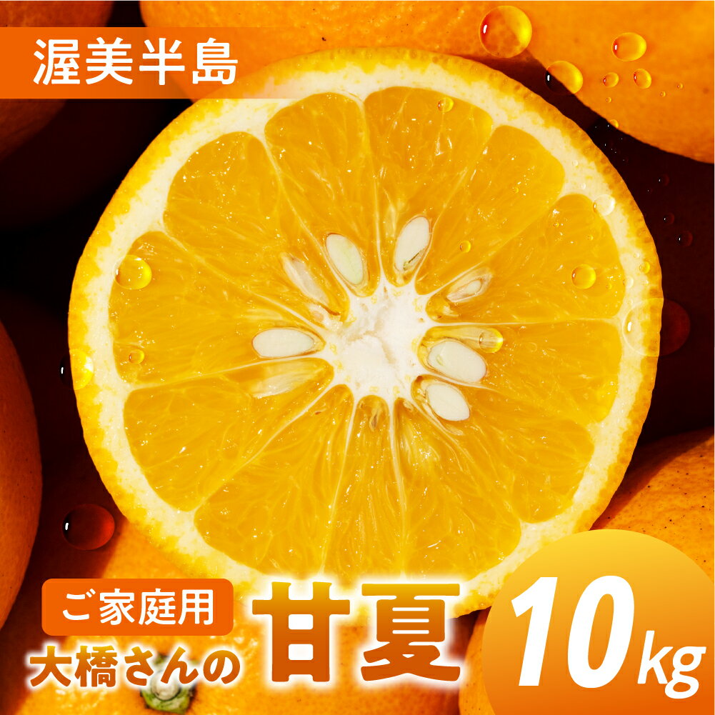 大橋農園の ご家庭用 甘夏 10kg 甘夏 あまなつ 柑橘 柑橘類 フルーツ 果物 旬 訳あり ワケアリ 訳アリ 愛知県 田原市 渥美半島