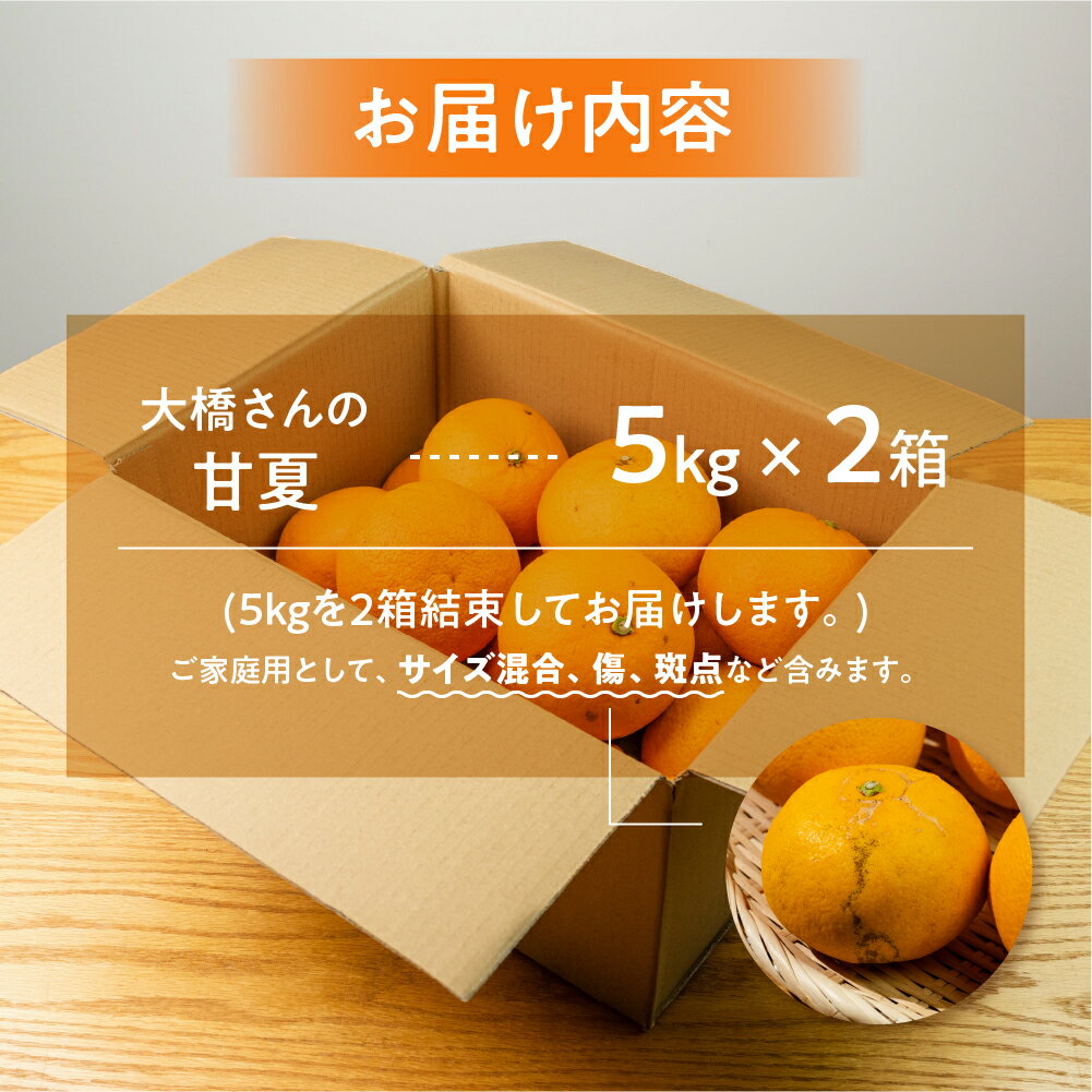 【ふるさと納税】大橋農園の ご家庭用 甘夏 10kg 甘夏 あまなつ 柑橘 柑橘類 フルーツ 果物 旬 訳あり ワケアリ 訳アリ 愛知県 田原市 渥美半島 サムネイル3