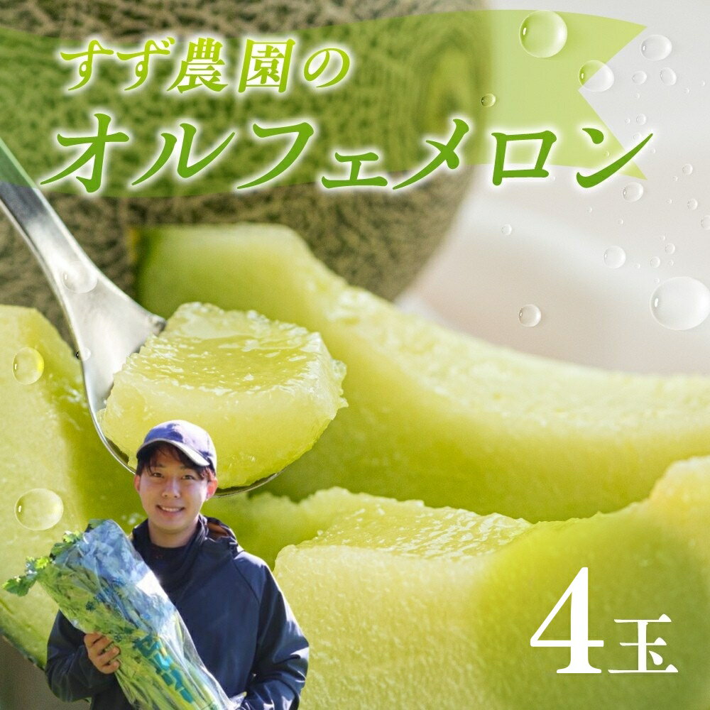 【先行予約】すず農園 オルフェメロン4玉 オルフェメロン メロン ハウスメロン デザート フルーツ 果物 旬 お盆 愛知県 田原市 渥美半島 メロン 糖度 メロン 青肉 ド甘い 暑さ 対策 暑さ対策