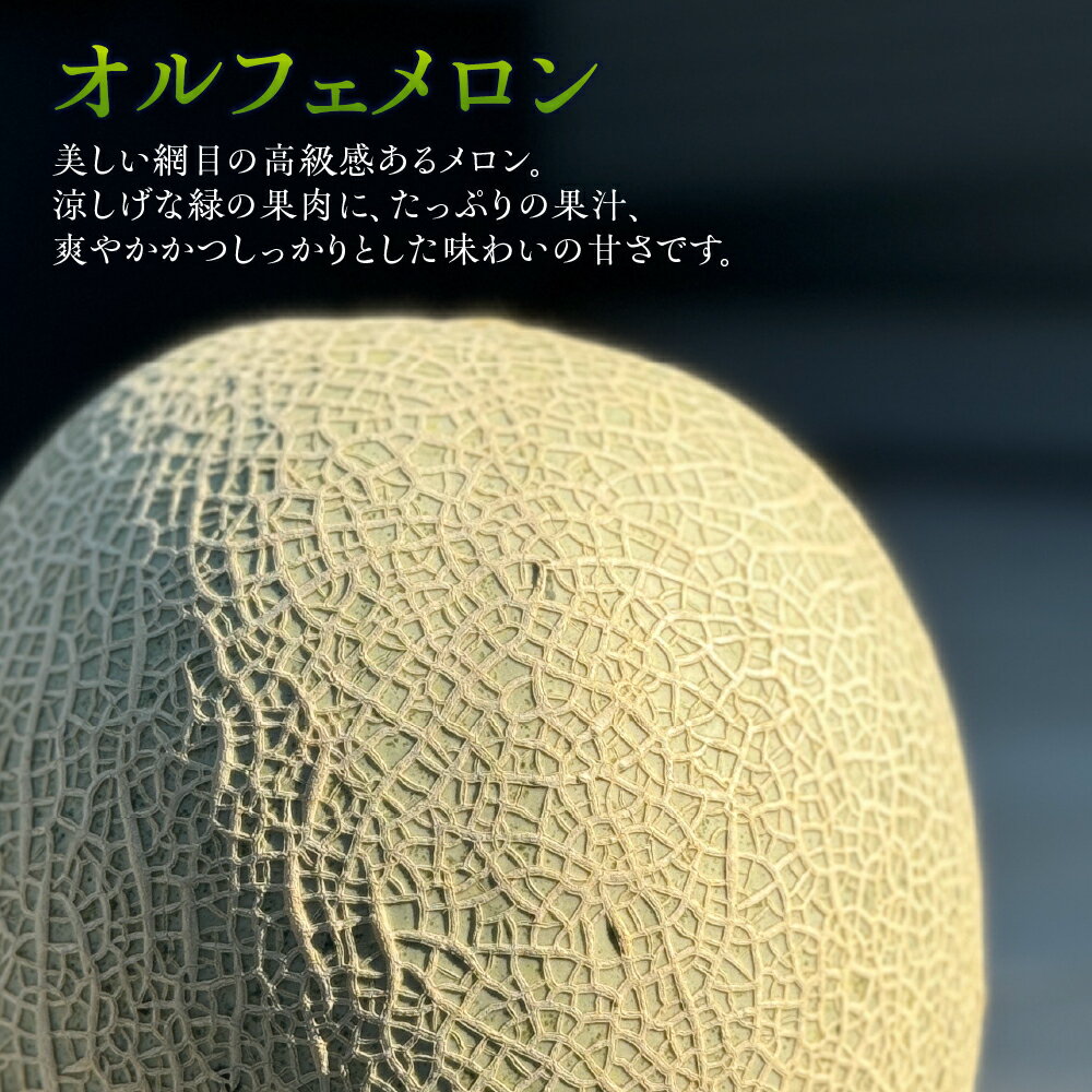 【ふるさと納税】【先行予約】すず農園 オルフェメロン4玉 オルフェメロン メロン ハウスメロン デザート フルーツ 果物 旬 お盆 愛知県 田原市 渥美半島 メロン 糖度 メロン 青肉 ド甘い 暑さ 対策 暑さ対策 サムネイル2