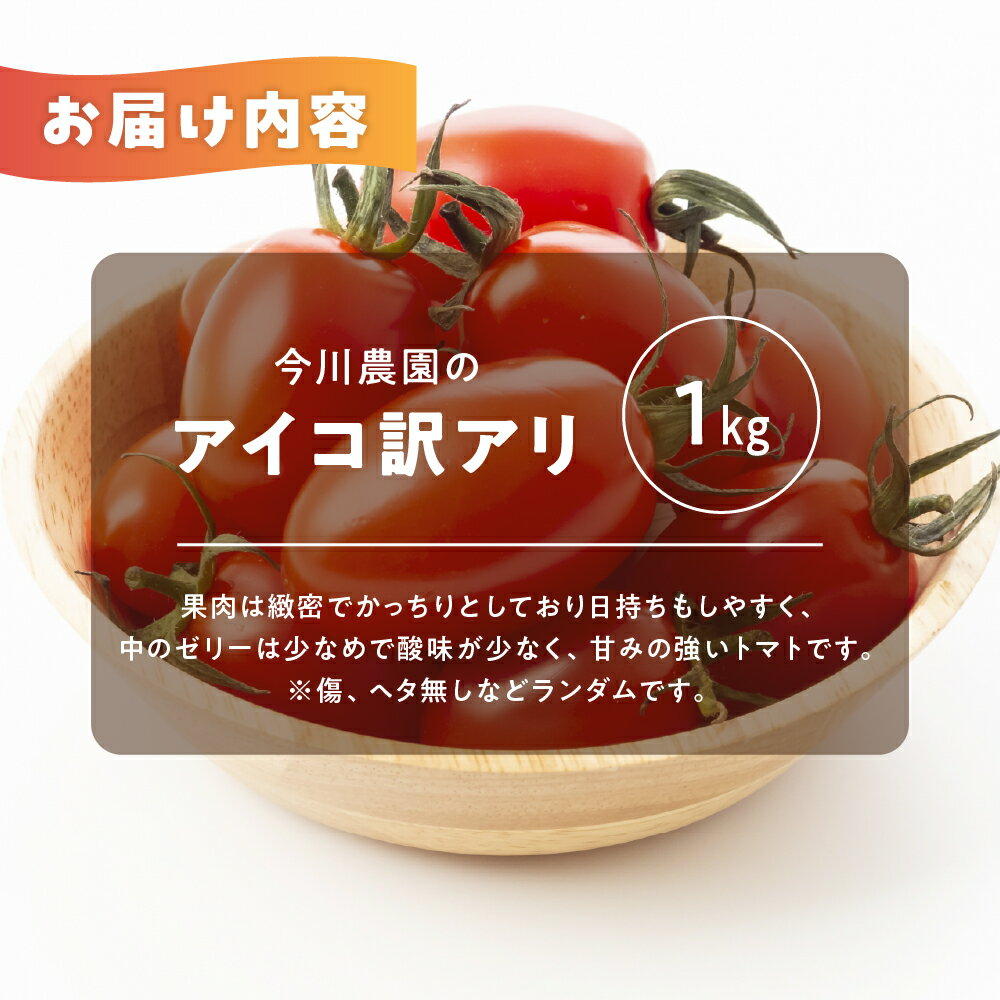 【ふるさと納税】【先行予約】今川農園のミニトマト 訳ありアイコ 選べる1～3kg 先行予約受付 期間限定 季節限定 野菜 国産 完熟 やさい フルーツ トマト 完熟 千果 ミニトマト イエロー プチトマト イエロートマト プチ お弁当 贈り物 おやつ サラダ 送料無料 産地直送 - 画像2