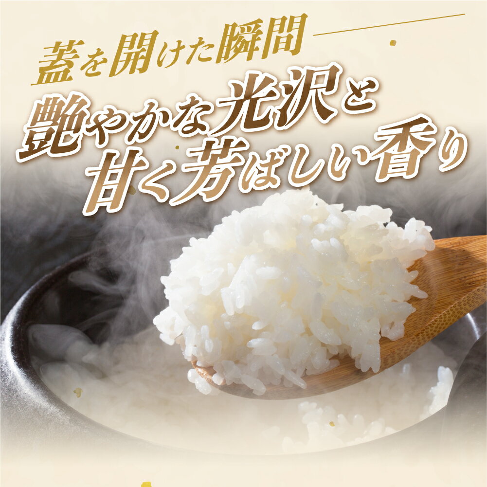 【ふるさと納税】《令和8年産 新米 定期便》 こしひかり 5kg 10kg 定期便 3か月 6か月 12ヶ月 選べる お米 おこめ 米 コメ ごはん コシヒカリ ご飯 精米 令和8年 定期 6か月 令和7年産 売り切れ 備蓄米 よりおいしい 愛知県 3回 6回 12回 人気 先行予約 3ヶ月 6ヶ月 - 画像3