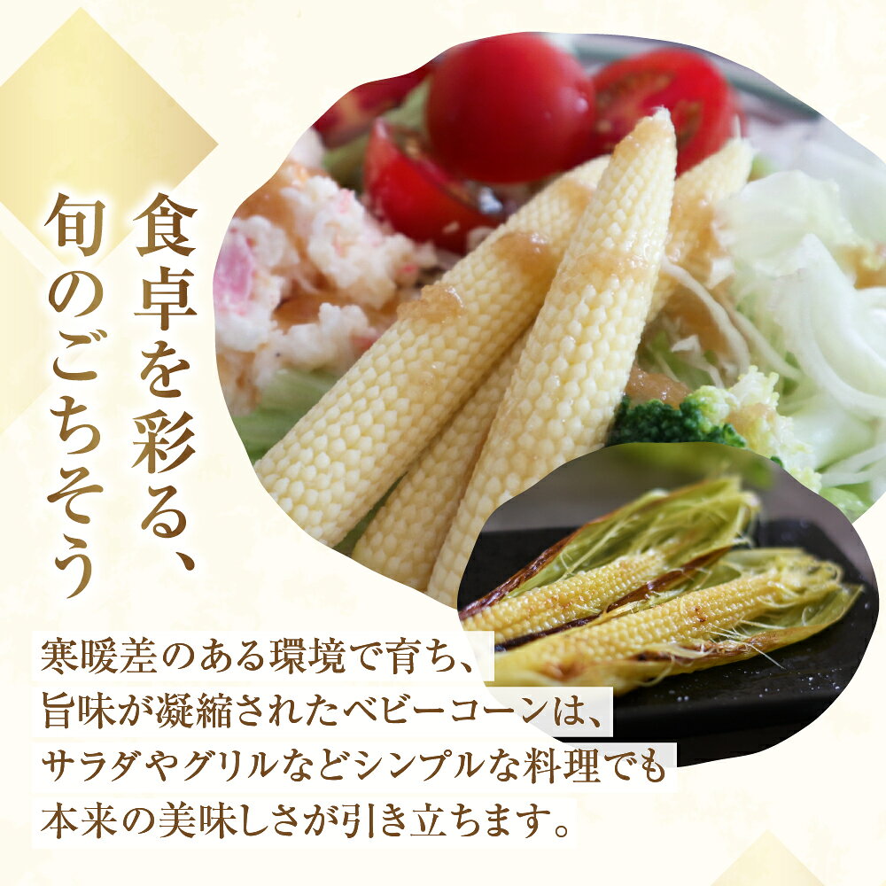 【ふるさと納税】＜先行予約＞温室栽培 早採れ プレミアム ベビーコーン 1.8kg以上 20本~25本 M〜Lサイズ コーン ヤングコーン とうもろこし トウモロコシ 旬 予約 Seaside Agriculture - 画像3