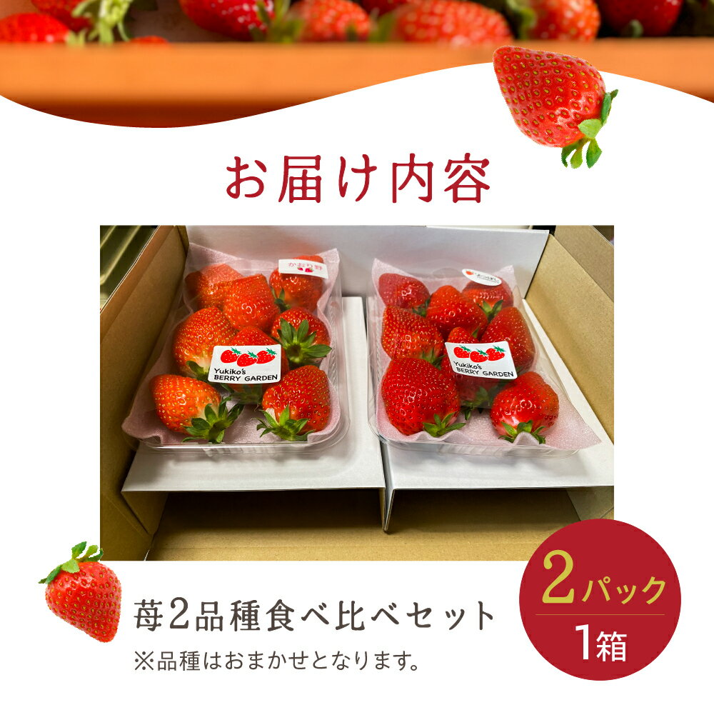 【ふるさと納税】【先行予約】安心安全！職人が作るおまかせ苺 選べる 2種 / 4種 食べ比べセット いちご 苺 おまかせ のため 訳あり 食べ比べ セット 安心 安全 国産 愛知県 田原市 渥美半島 サムネイル3