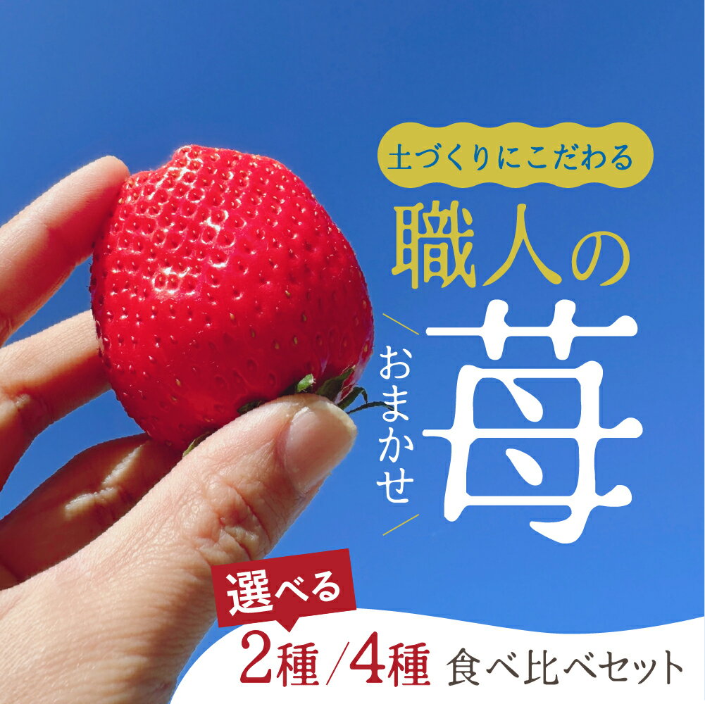 【先行予約】安心安全！職人が作るおまかせ苺 選べる 2種 / 4種 食べ比べセット いちご 苺 おまかせ のため 訳あり 食べ比べ セット 安心 安全 国産 愛知県 田原市 渥美半島