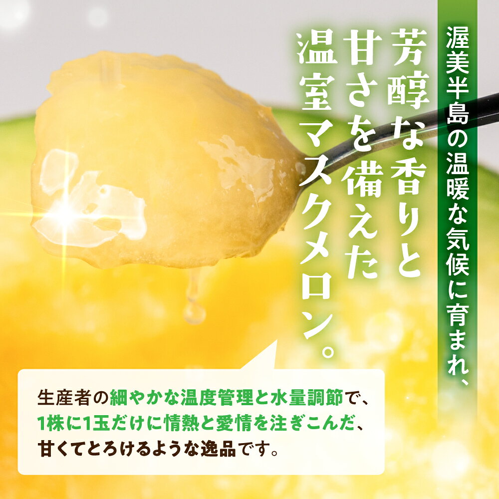 【ふるさと納税】【先行予約】訳あり マスクメロン 3玉 メロン めろん マスクメロン フルーツ 果物 愛知県 田原市 渥美半島 お取り寄せ スイーツ ご家庭用 家庭用 訳あり ニュー渥美 観光 1玉 2玉 3玉 訳あり わけあり ワケアリ 訳アリ サムネイル2