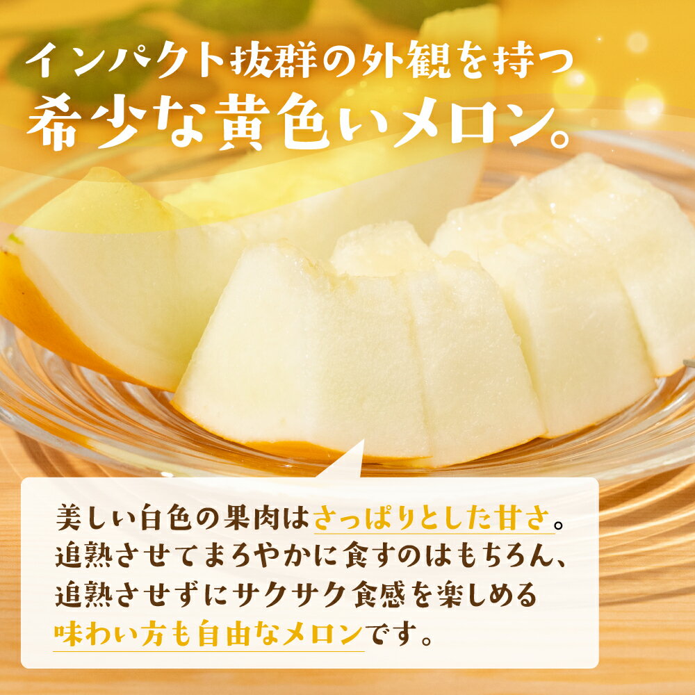 【ふるさと納税】【先行予約】イエローキングメロン 5 ～ 6玉 入り（ 計 4kg 以上 ）メロン イエロー キング メロン フルーツ 果物 愛知県 田原市 渥美半島 お取り寄せ スイーツ ギフト 贈り物 プレゼント 贈答 贈答用 ニュー渥美 観光 サムネイル2