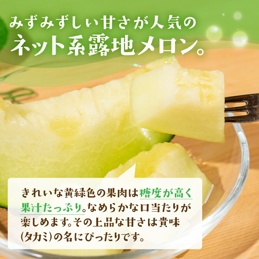 【ふるさと納税】【先行予約】タカミメロン 5 ～ 6玉 入り（ 計 4kg 以上 ）メロン タカミメロン フルーツ 果物 愛知県 田原市 渥美半島 お取り寄せ スイーツ ギフト 贈り物 プレゼント 贈答 贈答用 ニュー渥美 観光 サムネイル2