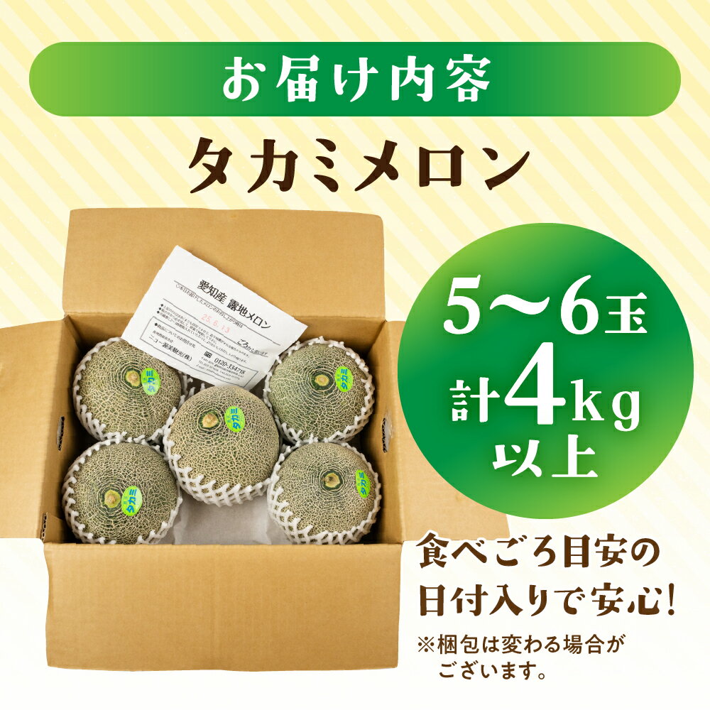 【ふるさと納税】【先行予約】タカミメロン 5 ～ 6玉 入り（ 計 4kg 以上 ）メロン タカミメロン フルーツ 果物 愛知県 田原市 渥美半島 お取り寄せ スイーツ ギフト 贈り物 プレゼント 贈答 贈答用 ニュー渥美 観光 サムネイル3