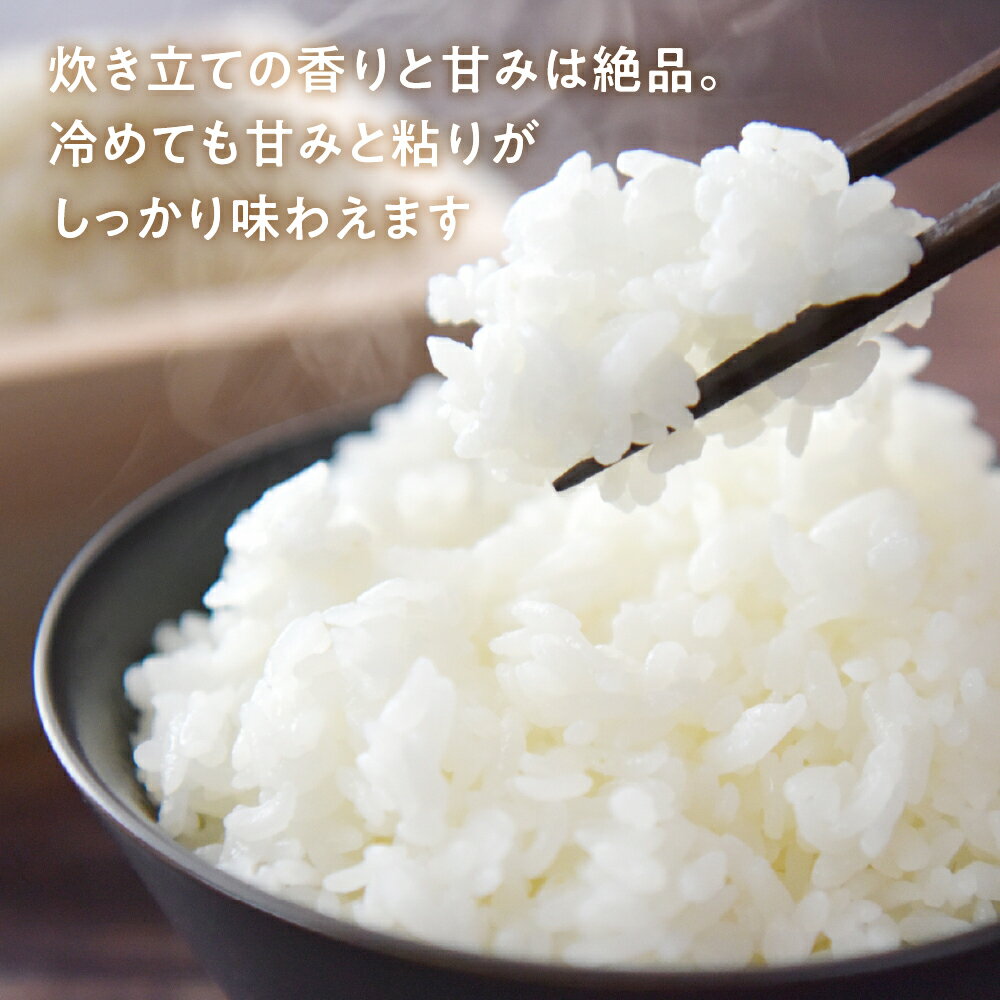 【ふるさと納税】《 令和8年産 新米 》若手農家のこしひかり 5kg 10kg 選べる お米 おこめ 米 コメ ごはん コシヒカリ ご飯 ブランド米 精米 令和7年産 売り切れ 備蓄米 よりおいしい 愛知県 田原市 渥美半島 人気 先行予約 2026年産 2026年 12000円 KASUKEN こし - 画像3