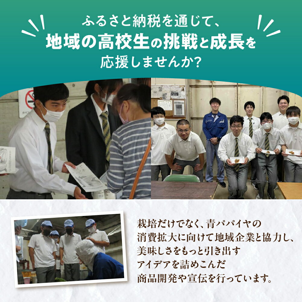 【ふるさと納税】高校生が育てた！青春パパイヤ 3玉 計2kg以上 青パパイヤ パパイヤ 野菜 渥美農業高校 高校生 高校 学生 応援 支援 栄養 健康 美容 くだもの フルーツ 果物 愛知県 田原市 渥美半島 お取り寄せ サムネイル3