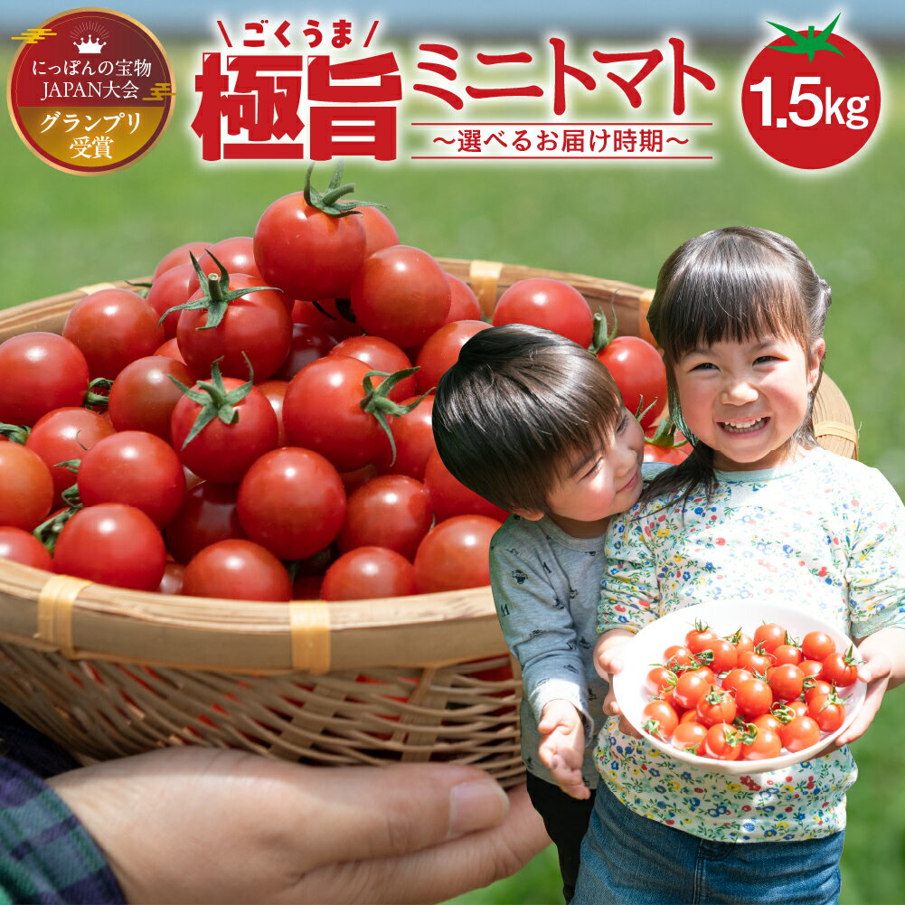 グランプリ受賞 極旨 ミニトマト 1.5kg だしの出るトマト 新鮮 完熟トマト 出汁推し実 フルーツトマト 季節限定 健康 トマト 濃厚 とまと 薄皮 入手困難 幻 プチ 先行予約 産地直送 冷蔵 送料無料