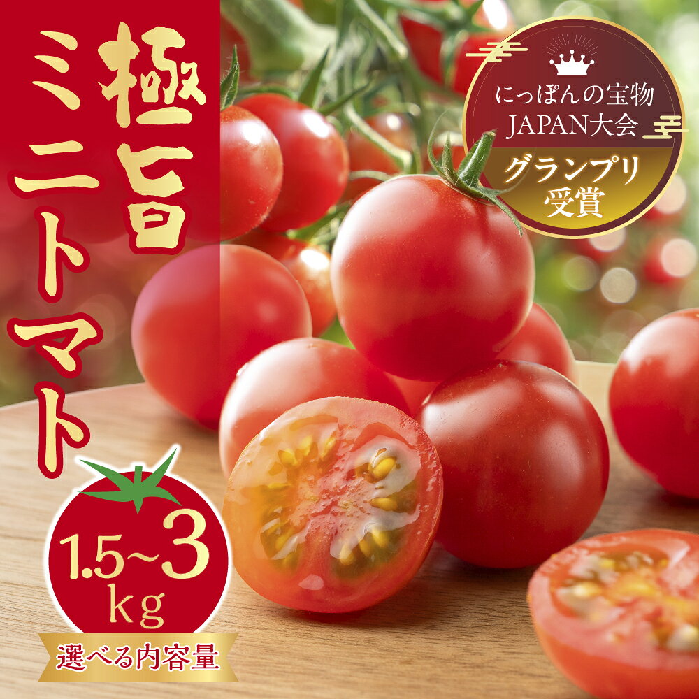 グランプリ受賞 極旨 ミニトマト 1.5kg だしの出るトマト 新鮮 完熟トマト 出汁推し実 フルーツトマト 季節限定 健康 トマト 濃厚 とまと 薄皮 入手困難 幻 プチ 先行予約 産地直送 冷蔵 送料無料