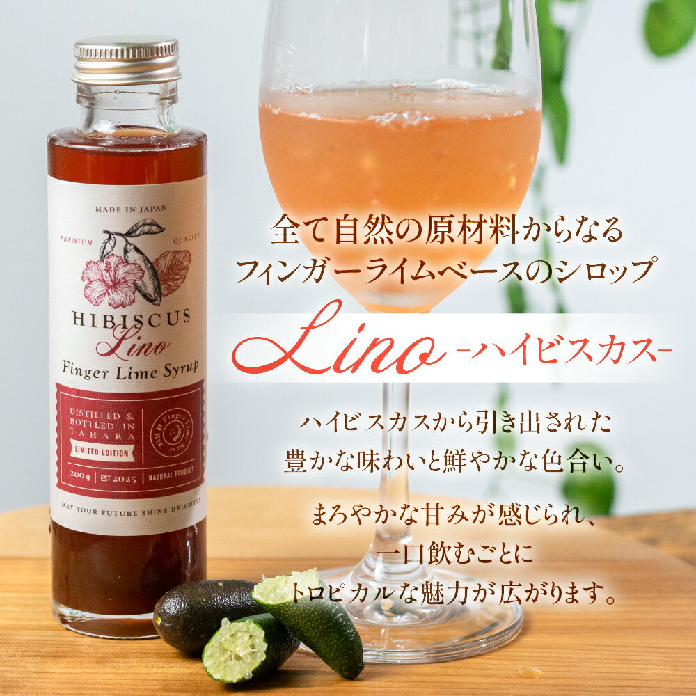 【ふるさと納税】フィンガーライムシロップ Lino 選べるセット ハイビスカス パッションフルーツ ココナッツ シロップ フィンガーライム FINGER LIME JAPAN公認 キャビアライム ライム フルーツキャビア 森のキャビア 柑橘 柑橘系 愛知県 田原市 渥美半島 国産 サムネイル2
