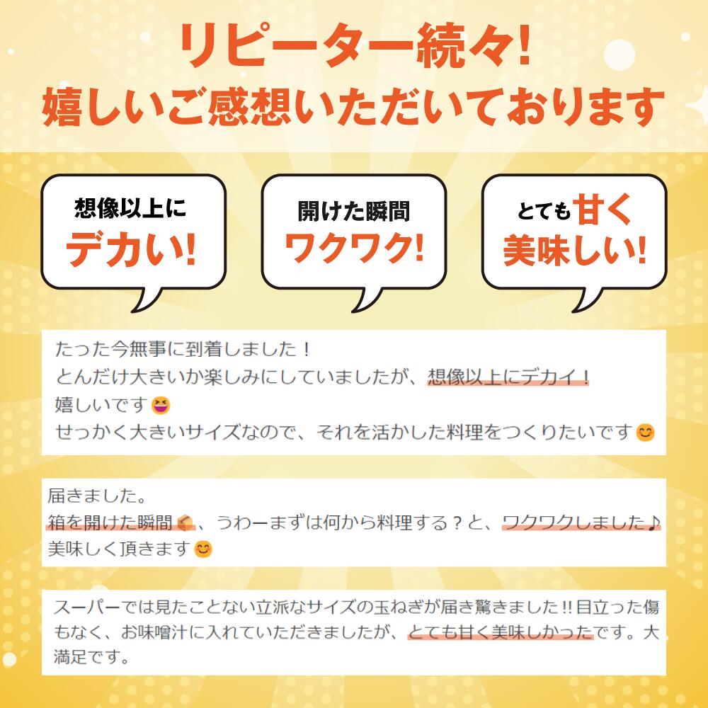【ふるさと納税】《先行予約》　がんこ玉ねぎ　5kg ~10kg　玉葱 野菜 旬 サイズお任せ 産地直送 田原市 送料無料 - 画像3