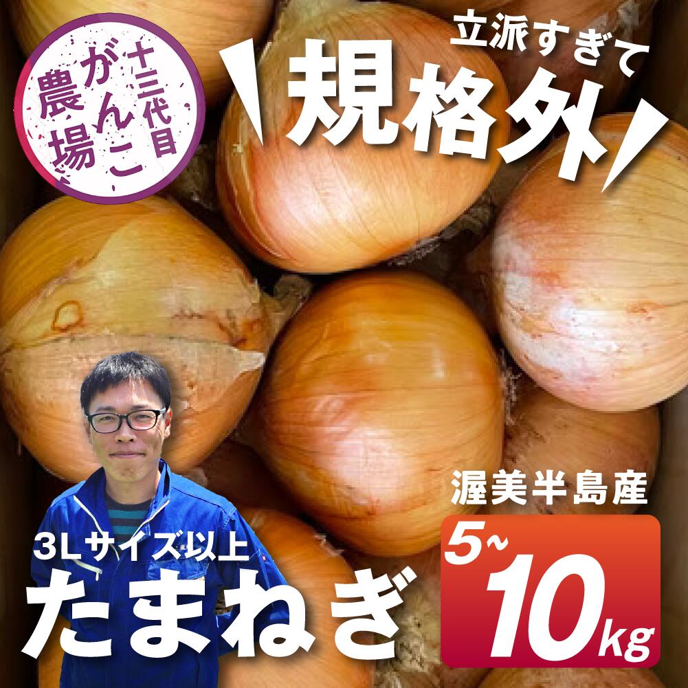 《先行予約》　がんこ玉ねぎ　5kg ~10kg　玉葱 野菜 旬 サイズお任せ 産地直送 田原市 送料無料
