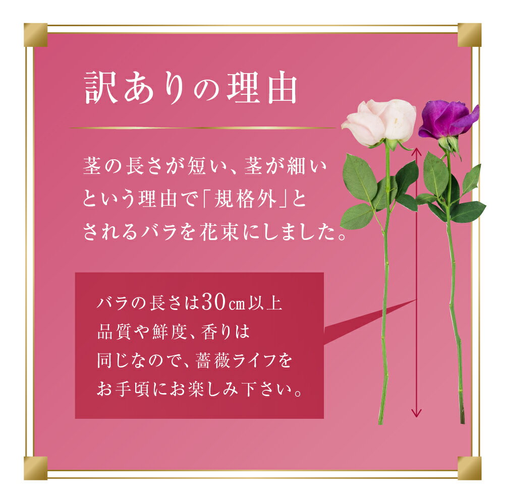 【ふるさと納税】【母の日お届け】【訳あり】バラ 花束 10~50本 高評価 ★4.8 花 ブーケ 訳あり 規格外 ご自宅用 チャーミングローズ 薔薇 ローズ 生花 ミックス 赤 ピンク 誕生日 フラワー 雑貨 インテリア 産地直送 人気 母の日 父の日 遅れてごめんね - 画像3